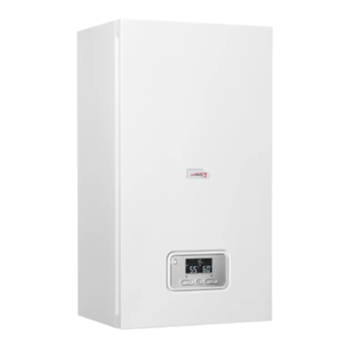 ����� ������������� Protherm ���� RAY 6 ���